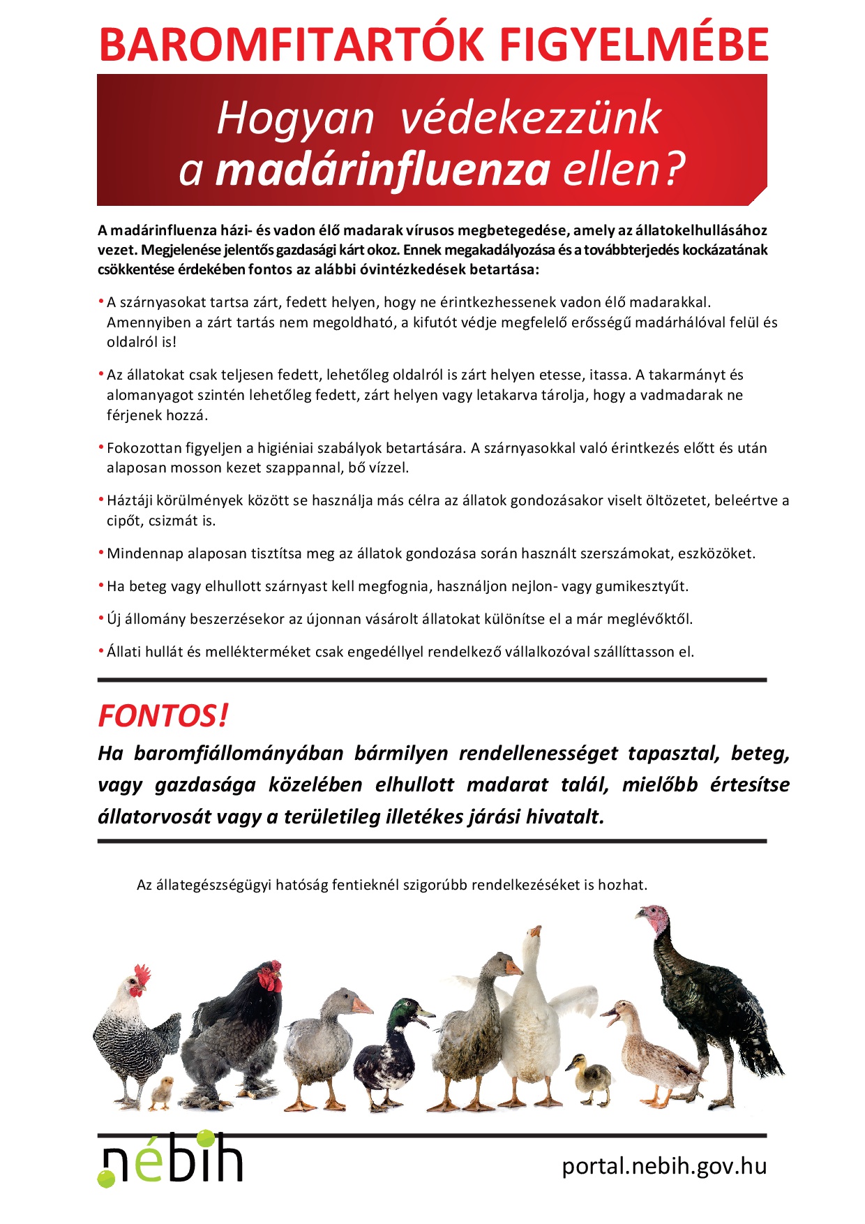 Tájékoztató a Madárinfluenzáról