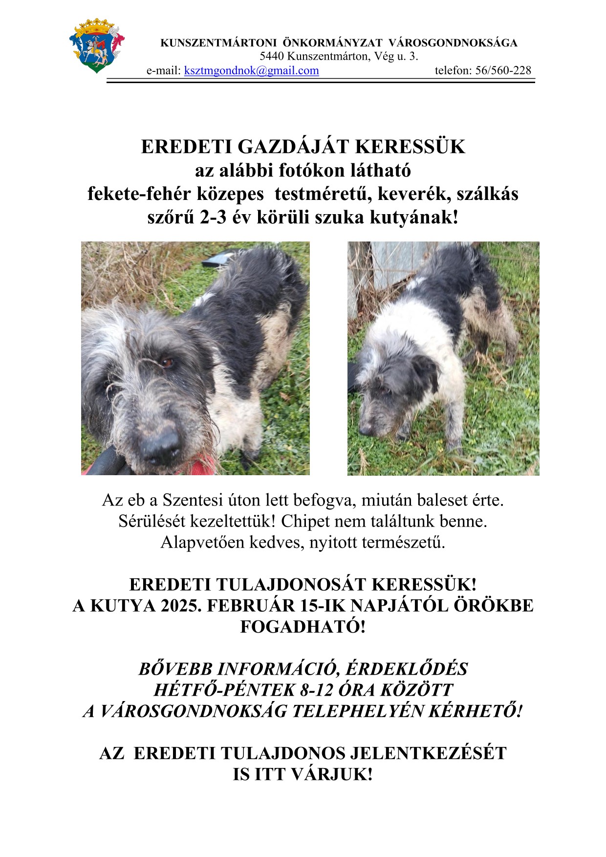 Hirdetmény! Eredeti gazdáját keressük!