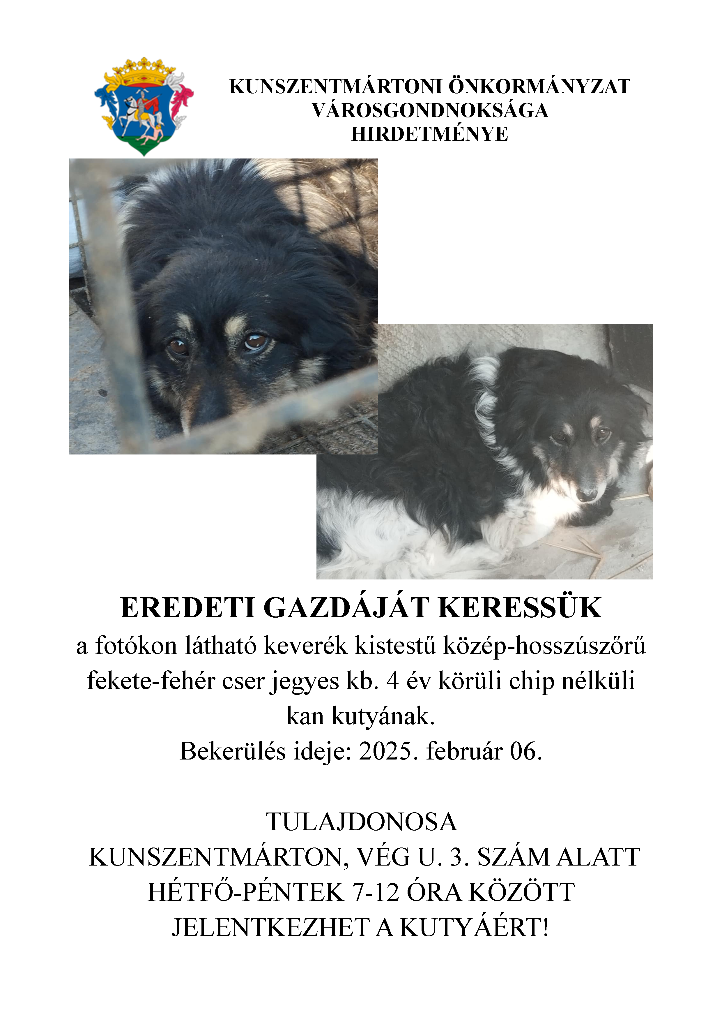 Hirdetmények! Eredeti gazdájukat keressük!