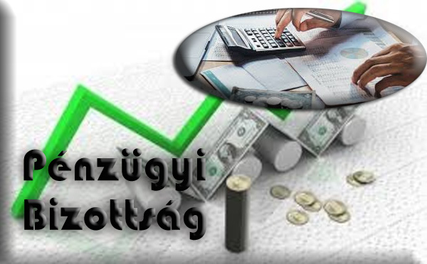 Pénzügyi Bizottság 2026. augusztus 24. soros nyílt ülése