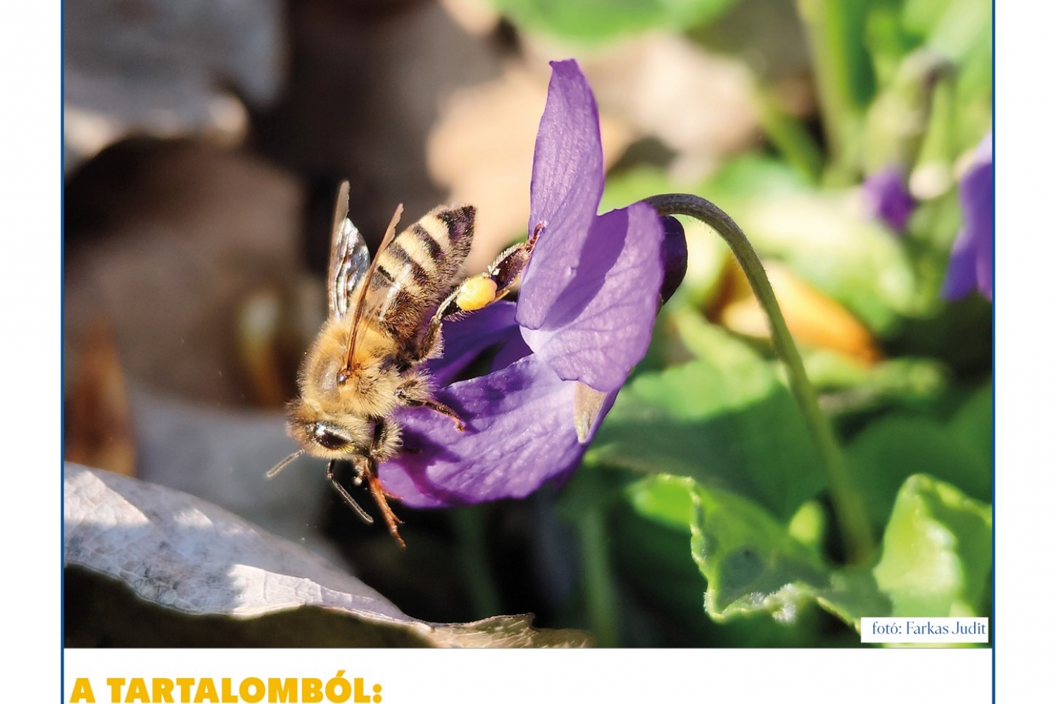 A Kunszentmártoni HÍRLAP XXVII. évfolyam 4. szám
